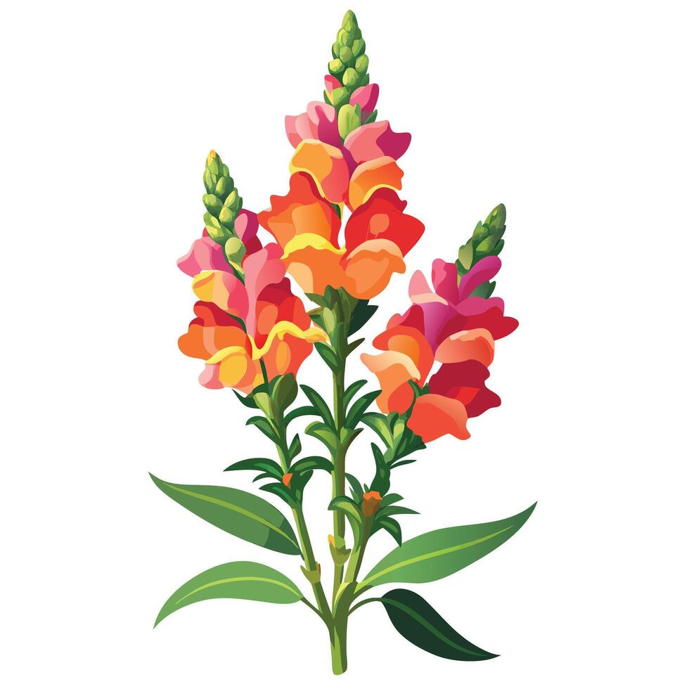 Vibrant Snapdragon Flower with Brightly Colored Petals and Leaves in a Natural Setting vector