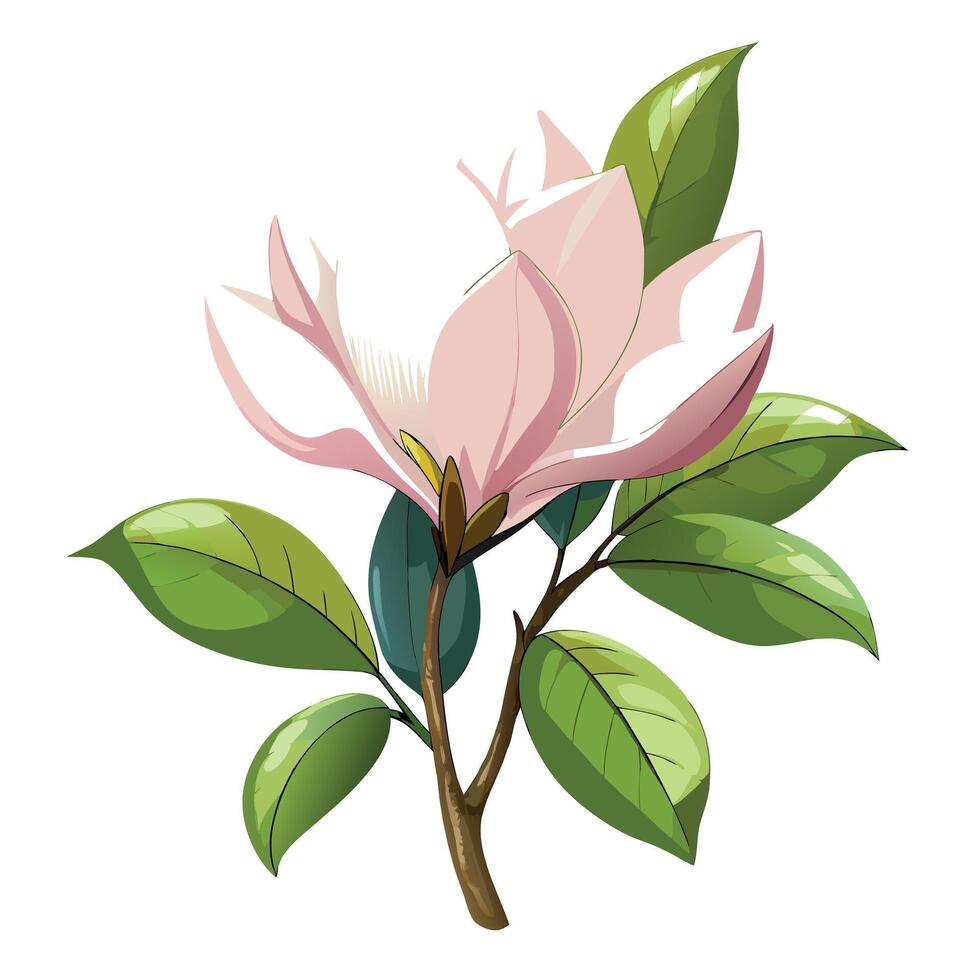 Vibrant Magnolia Plant with Brightly Colored Flowers and Leaves in a Natural Setting vector