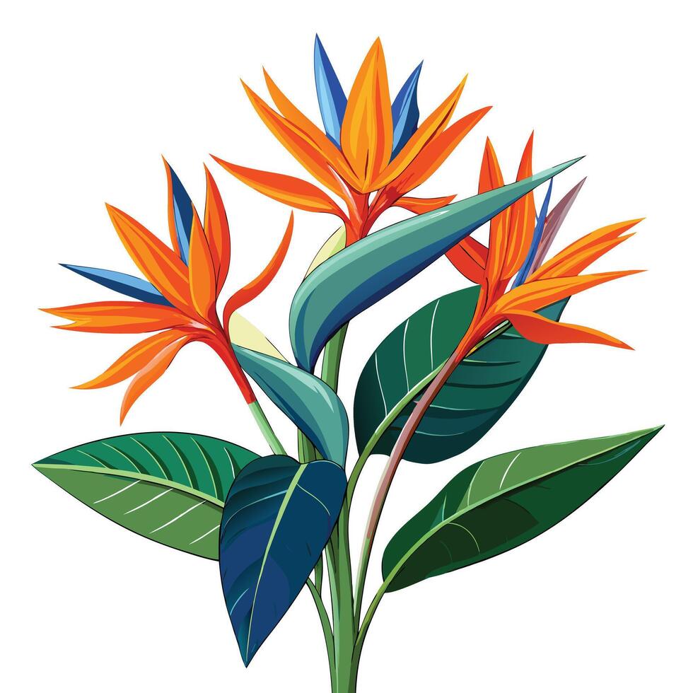 Intricate Details of a Bird of Paradise Plant in a Natural Setting with Wildflowers and Butterflies Isollated on White Background vector