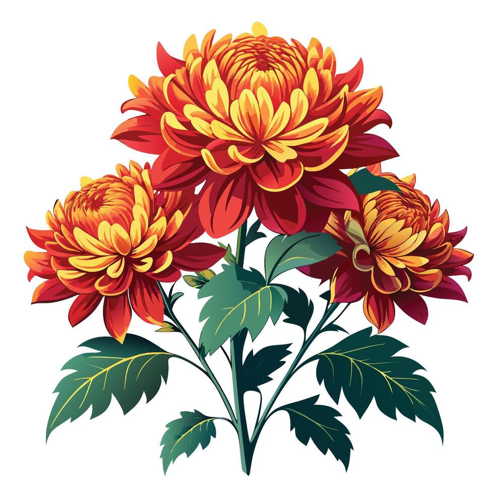 Vibrant Chrysanthemum Plant with Brightly Colored Flowers and Leaves in a Natural Setting vector