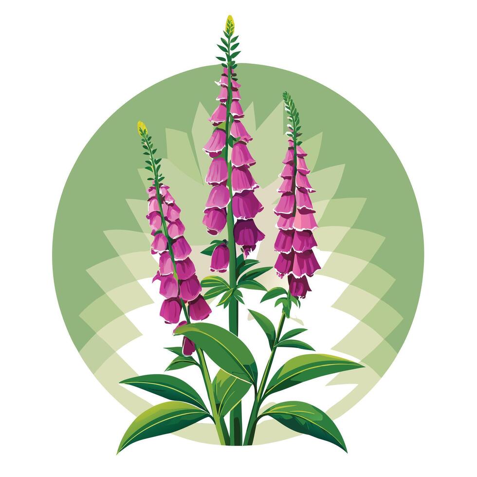 Vibrant Foxglove Plant with Brightly Colored Flowers and Leaves in a Natural Setting Isollated with White Background vector