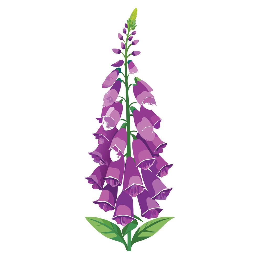 Beautiful Foxglove Plant with Tall Stems and Flowers in a Natural Setting with a Trellis vector