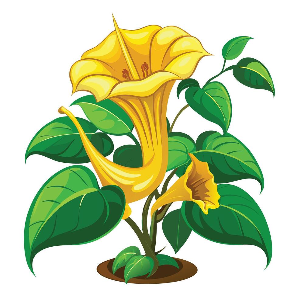 Botanical Rendering of a Golden Chalice Vine in Full Bloom with Green Leaves and Stems vector