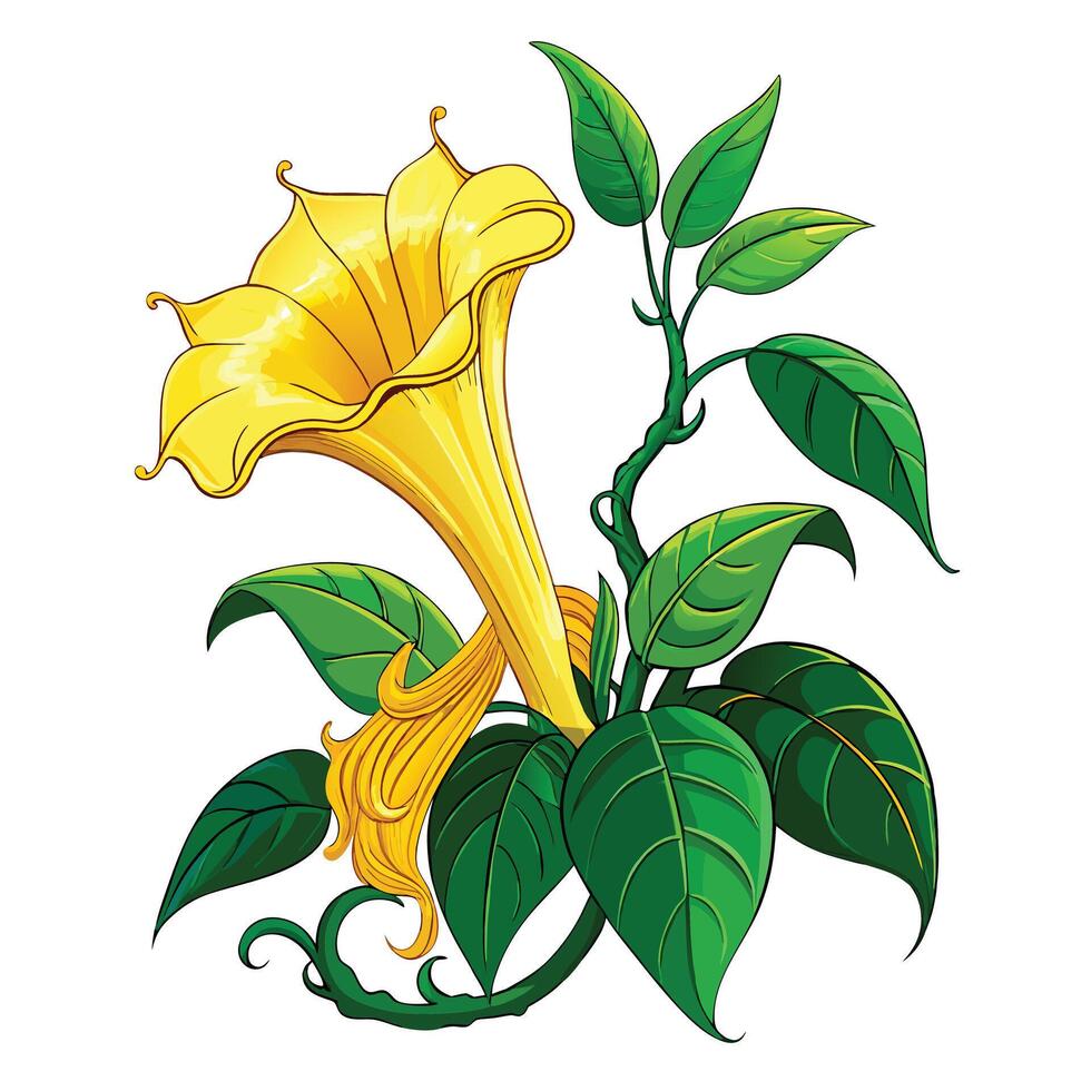 Beautiful Golden Chalice Vine with Yellow Flowers and Leaves vector