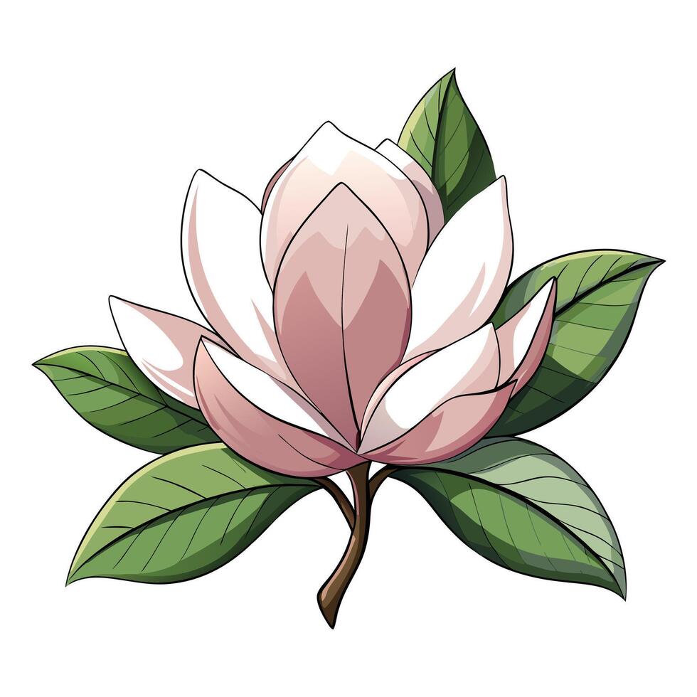 Magnolia Flower with Yellow Petals and Green Leaves in a Garden Setting Isollated with a White Background vector