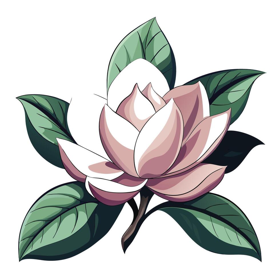 Beautiful Magnolia Flower with Large Petals and Leaves vector