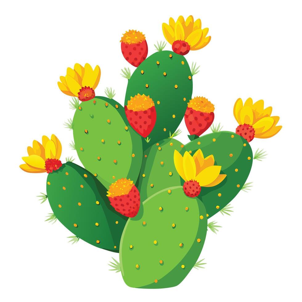 Prickly Pear Cactus with Yellow Flowers and Green Leaves in a Garden Setting vector