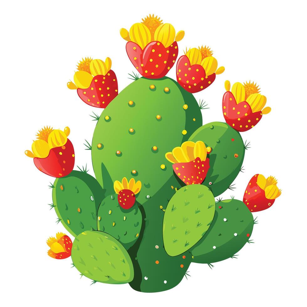 Detailed Illustration of a Prickly Pear Cactus with White Petals and Long Stems vector
