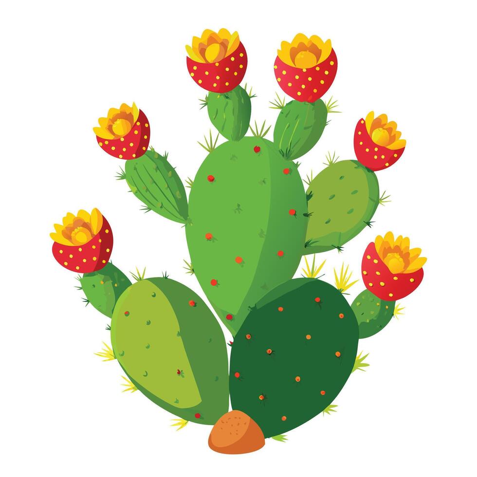 Beautiful Prickly Pear Cactus with Vibrant Pink Flowers and Green Leaves vector