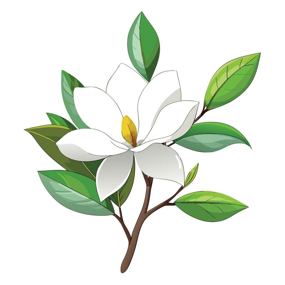 Star Magnolia Plant with Purple Flowers and Green Leaves in a Garden Setting vector