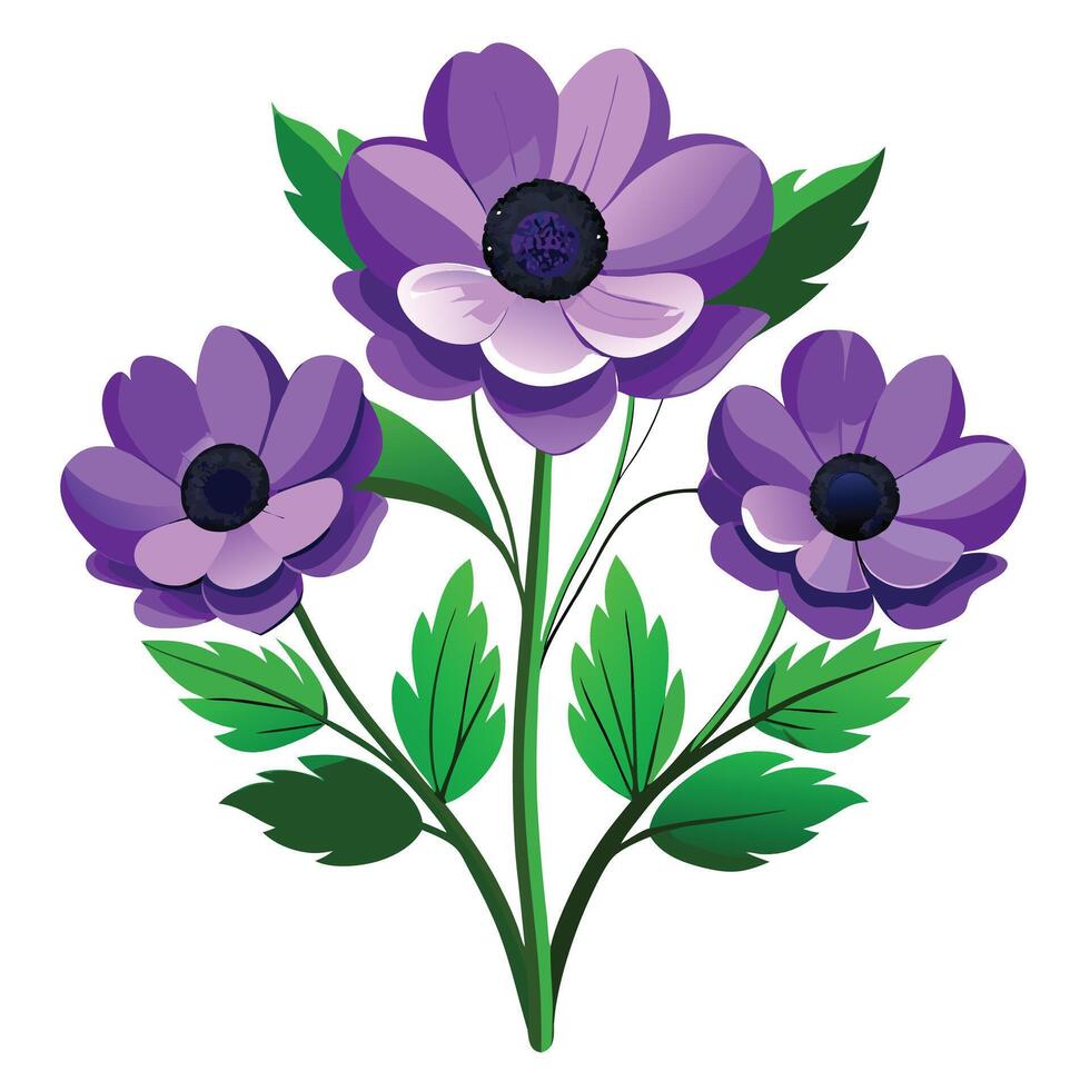 Anemone Plant with Purple Flowers and Green Leaves in a Garden Setting vector