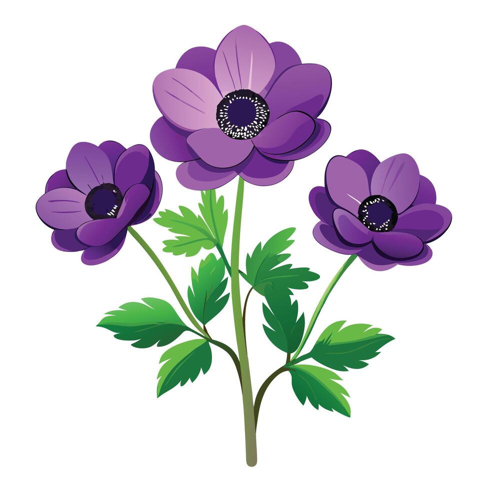 Beautiful Anemone Plant with Delicate Pink Flowers and Green Leaves vector