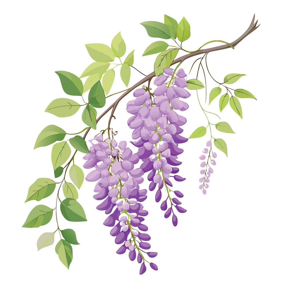 Beautiful Wishbone Flower with Blue Flowers and Green Leaves vector