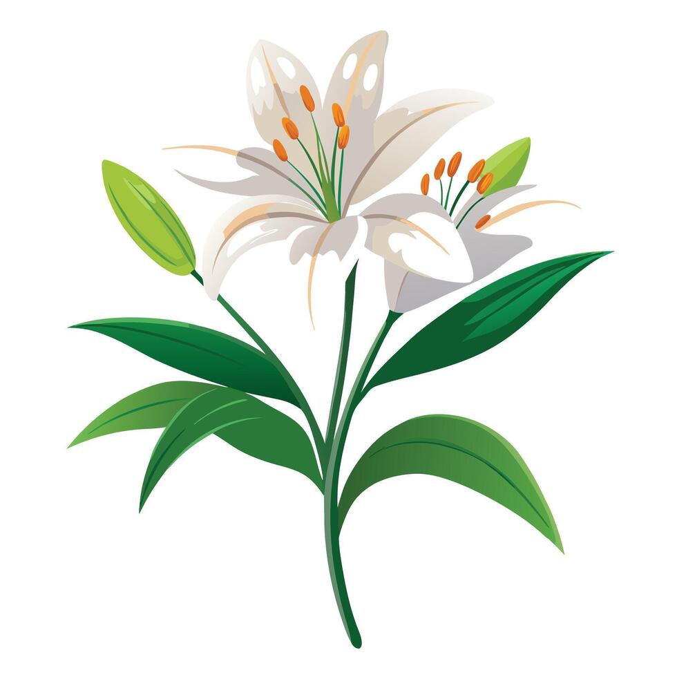 Detailed Illustration of a Blooming Tree with White Petals and Long Stems vector