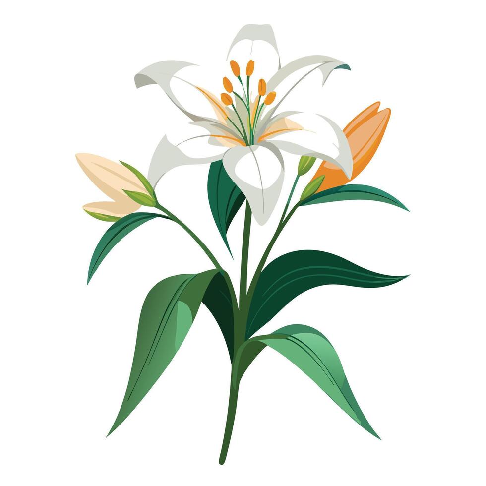 Blooming Tree with Purple Flowers and Green Leaves in a Garden Setting vector