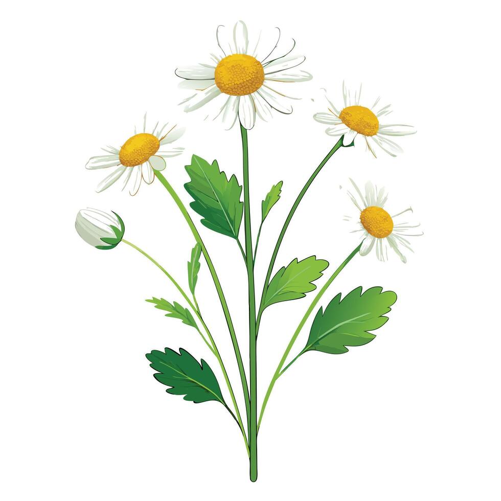 Delicate Flower with Yellow Petals and Green Leaves in a Garden Setting vector
