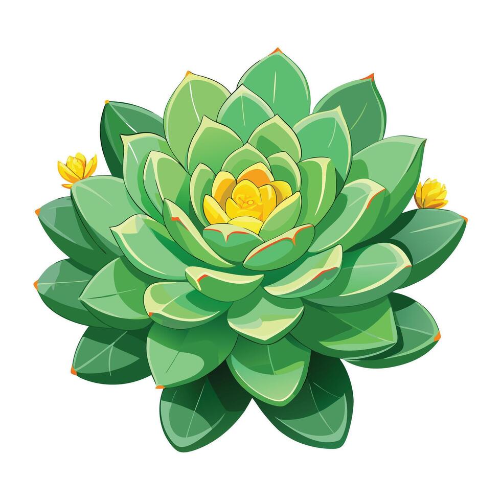Botanical Illustration of a Succulent Plant in Full Bloom with Green Leaves and Stems vector