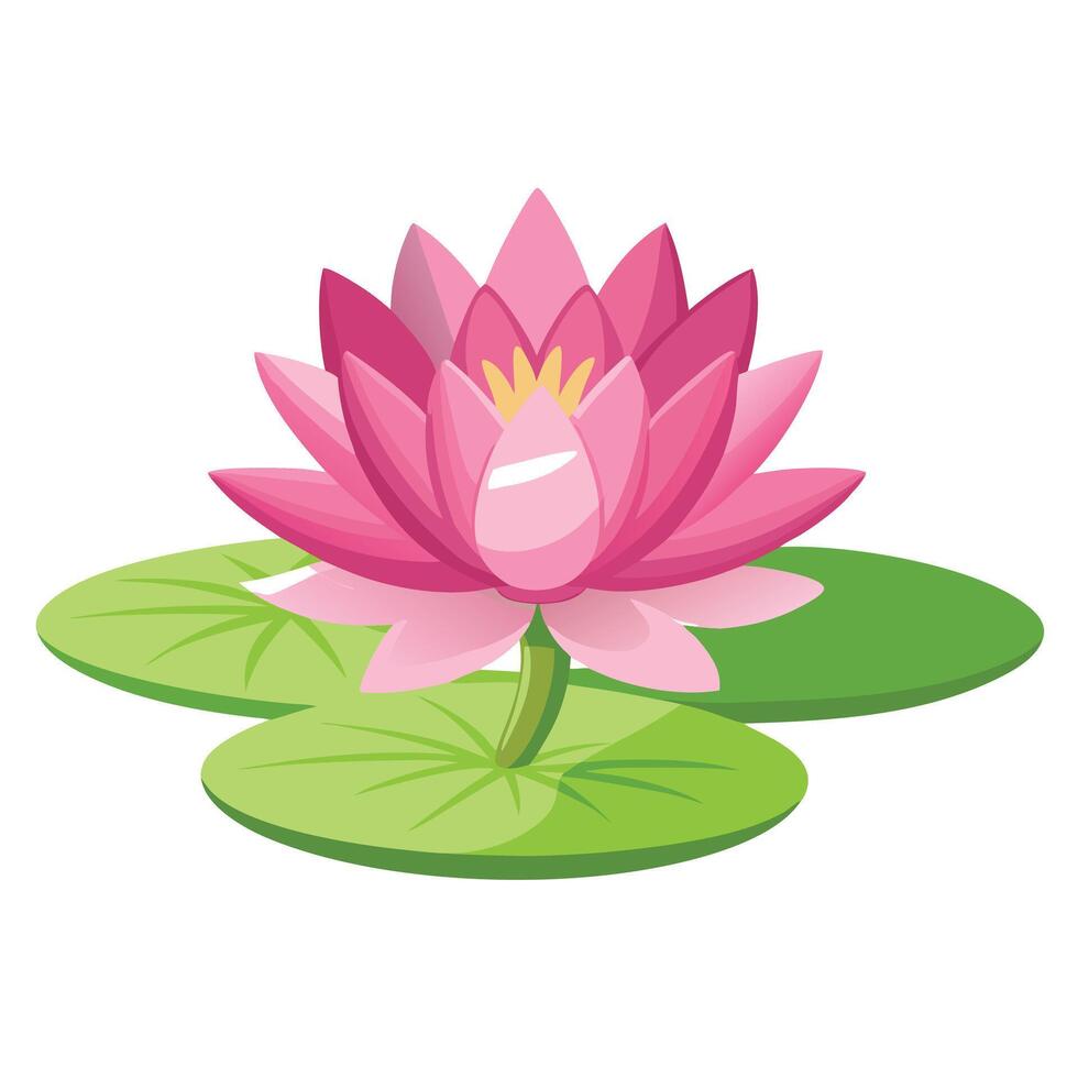 Botanical Illustration of a Water Lily Plant in Full Bloom with Green Leaves and Stems vector