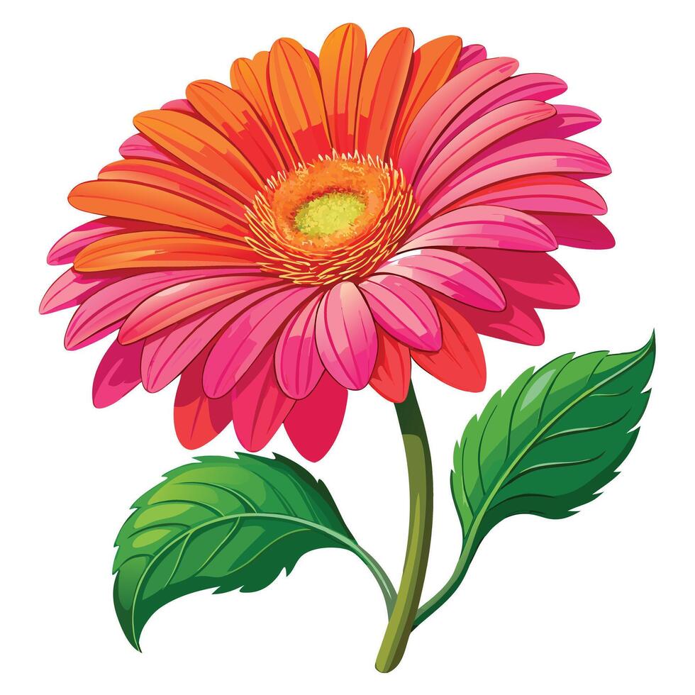 Beautiful Vibrant Gerbera Daisy with Brightly Colored Petals and Leaves vector
