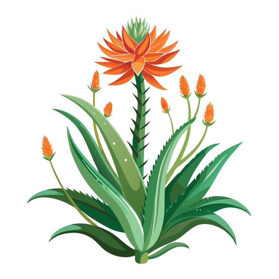 Intricate Details of an Aloe Vera Plant in a Natural Setting with Wildflowers and Butterflies vector