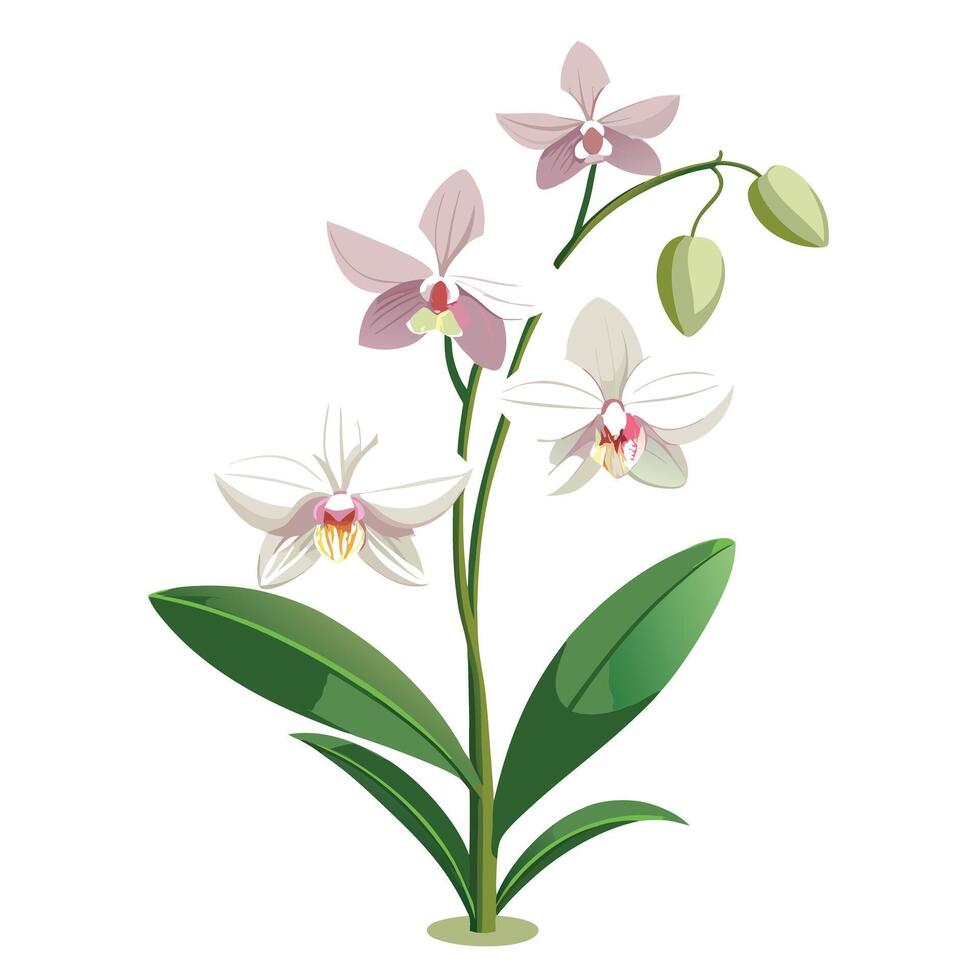 Vibrant Orchid Plant with Brightly Colored Flowers and Leaves in a Natural Setting vector