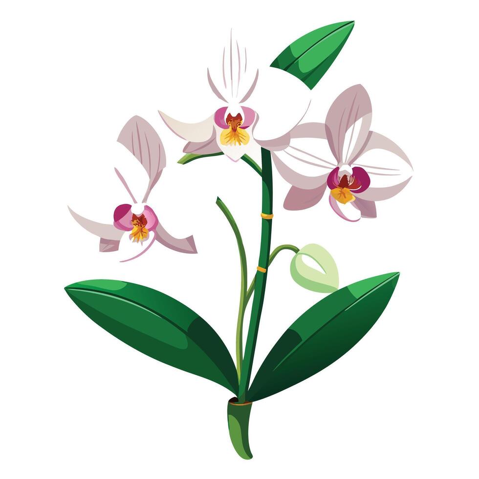 Intricate Details of an Orchid Plant in a Natural Setting with Wildflowers and Butterflies vector