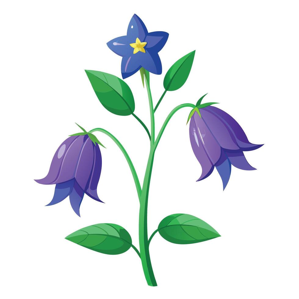 Vibrant Balloon Flower Plant with Brightly Colored Flowers and Leaves in a Natural Setting vector
