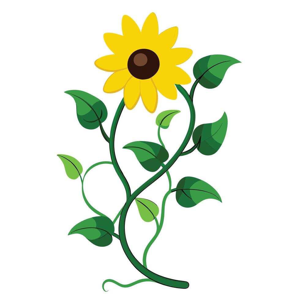 Vibrant Black-Eyed Susan Vine with Delicate Flowers and Leaves in a Natural Setting vector