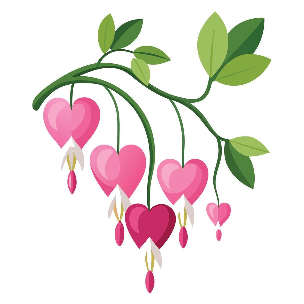 Vibrant Bleeding Heart Plant with Brightly Colored Flowers and Leaves in a Natural Setting vector