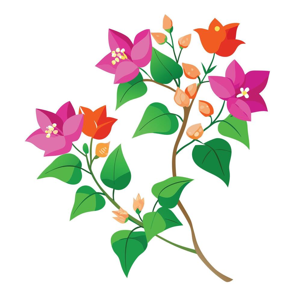 Vibrant Bougainvillea Vine with Brightly Colored Flowers and Leaves in a Natural Setting vector