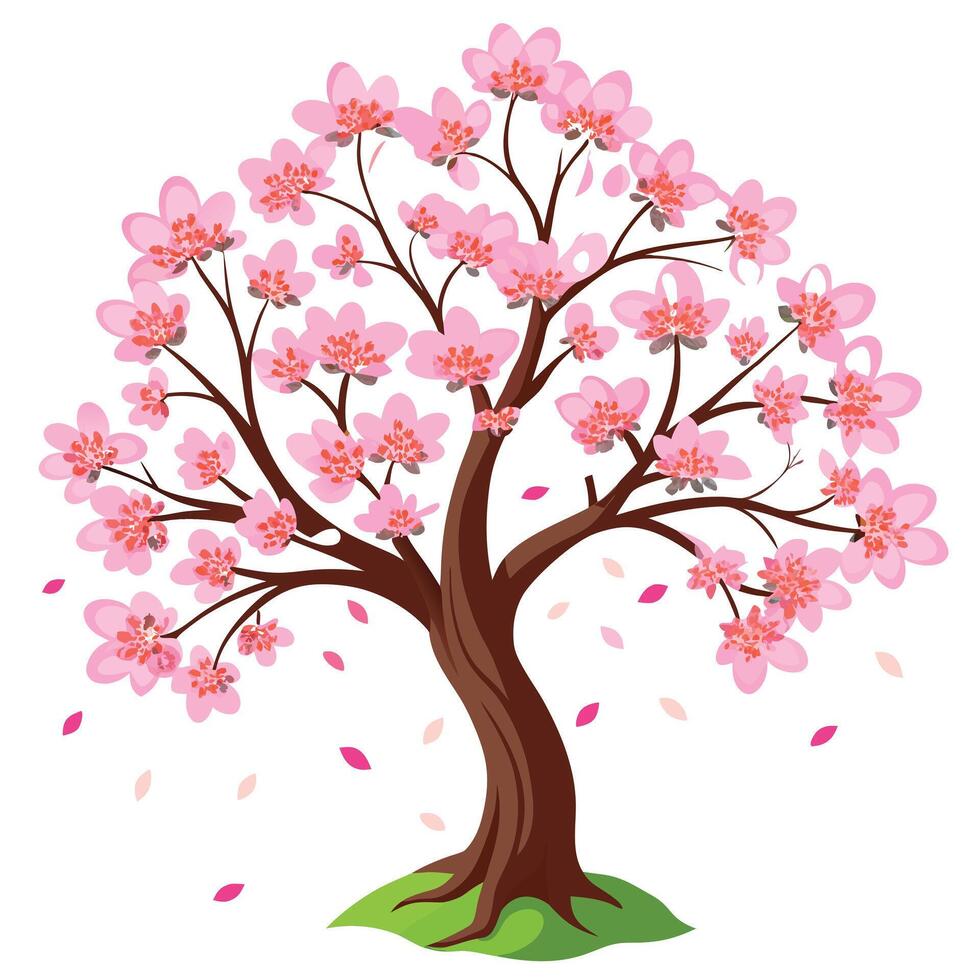 Cherry Blossom Tree with Purple Flowers and Green Leaves in a Garden Setting vector