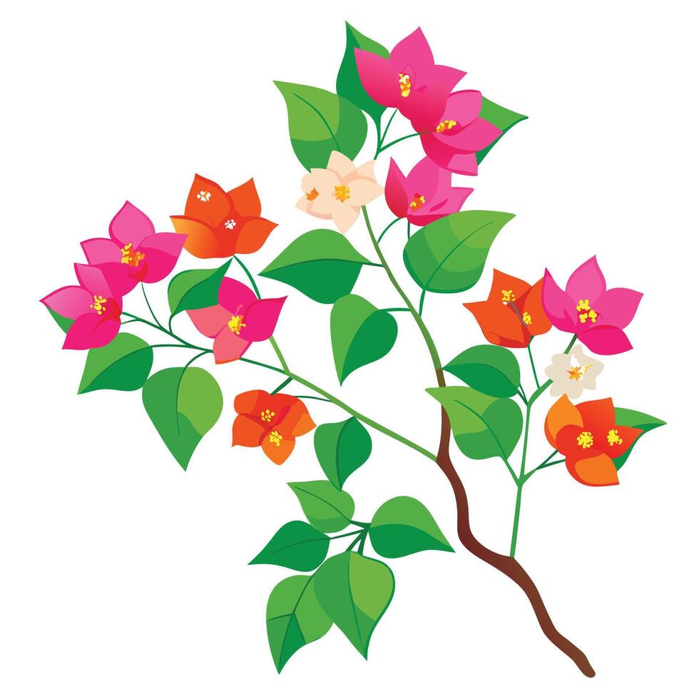Bougainvillea Vine with Yellow Flowers and Green Leaves in a Garden Setting vector