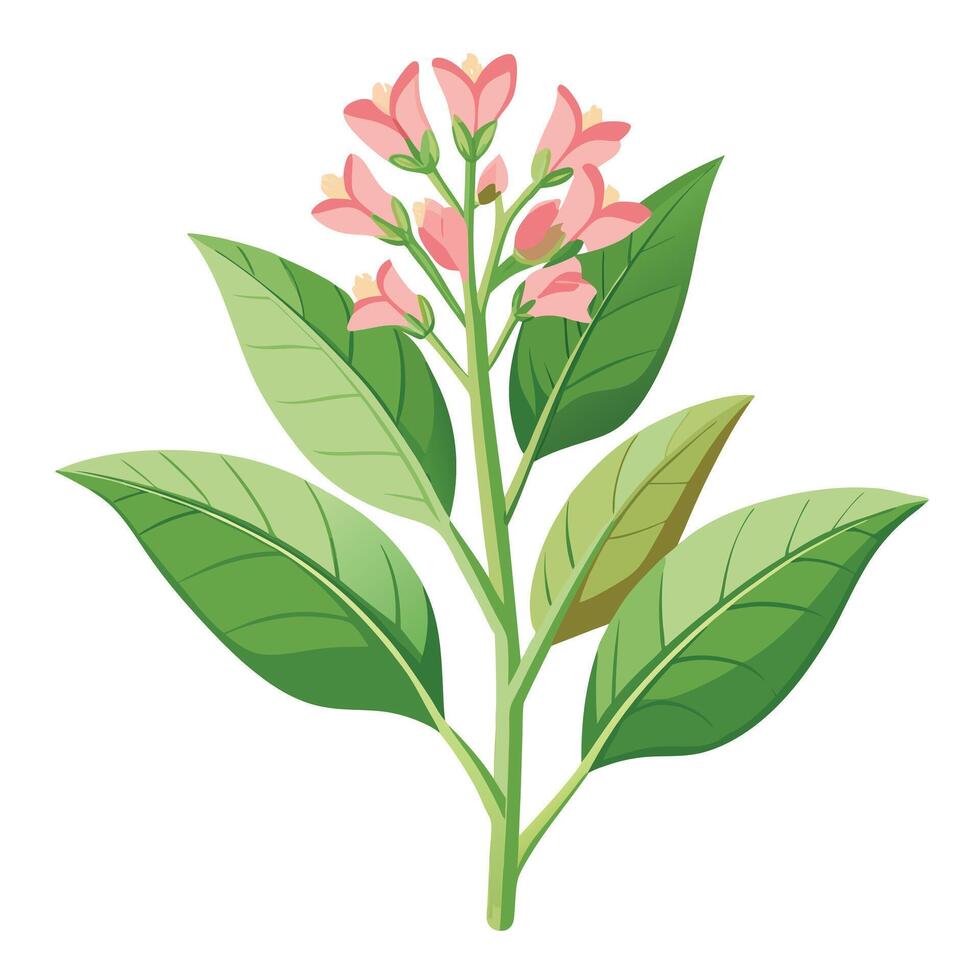 Flowering Tobacco Plant with Purple Flowers and Green Leaves in a Garden Setting vector