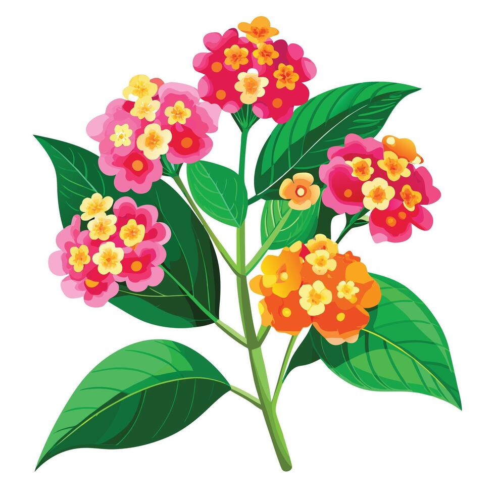 Lantana Plant with Purple Flowers and Green Leaves in a Garden Setting vector