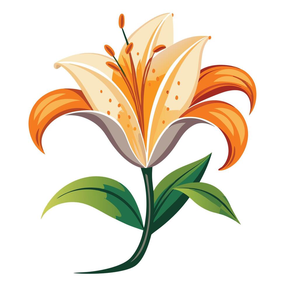Detailed Illustration of a Lily Flower with Pink Petals and Long Stems vector