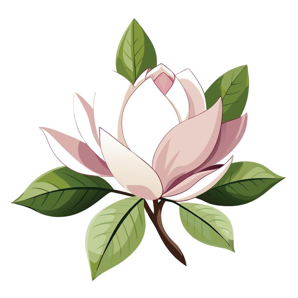 Magnolia Flower with Purple Petals and Green Leaves in a Garden Setting vector