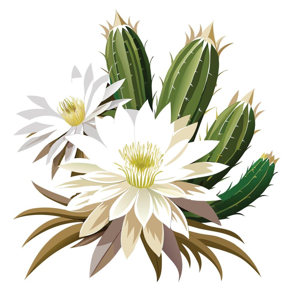 Detailed Illustration of a Night Blooming Cereus with Pink Petals and Long Stems vector