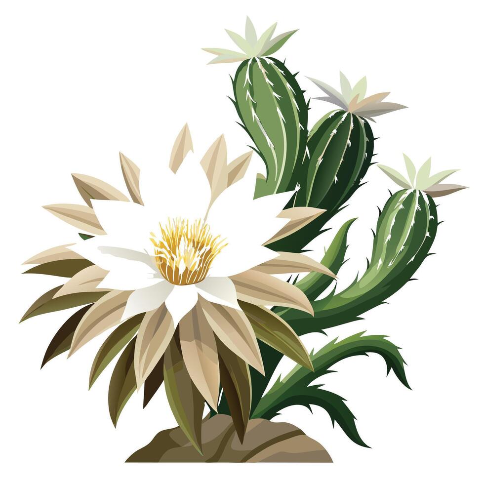 Night Blooming Cereus with Purple Petals and Green Leaves in a Garden Setting vector