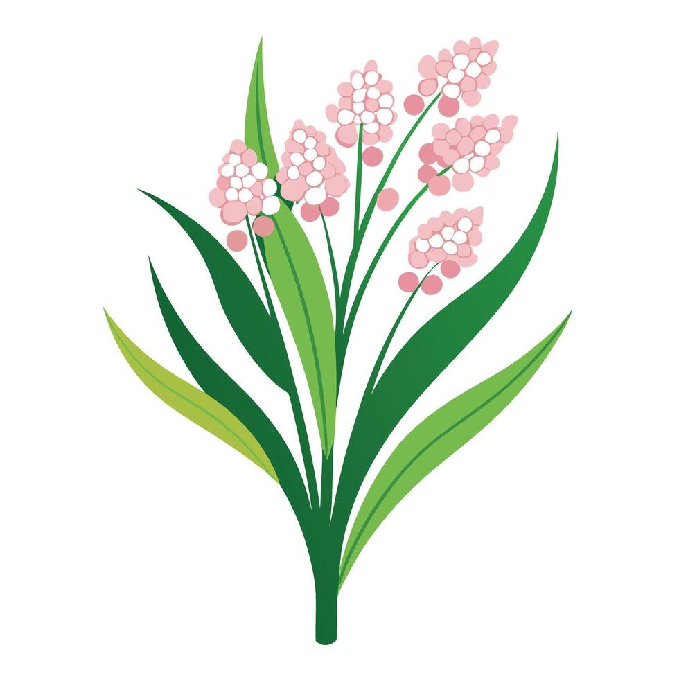 Vibrant Rice Flower Plant with Brightly Colored Flowers and Leaves in a Natural Setting vector