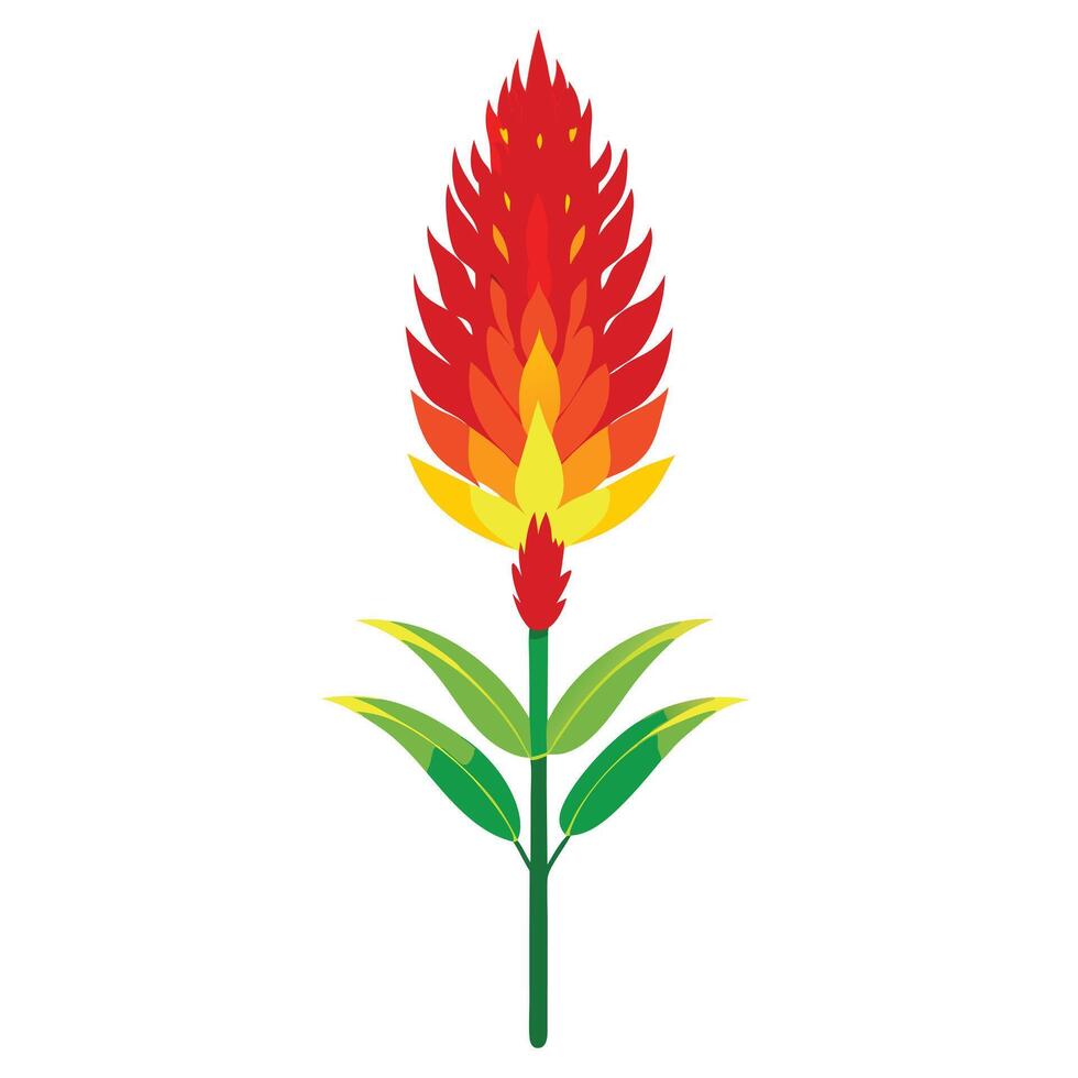 Botanical Depiction of a Torch Lily Red Hot Poker in Full Bloom with Green Leaves and Stems vector