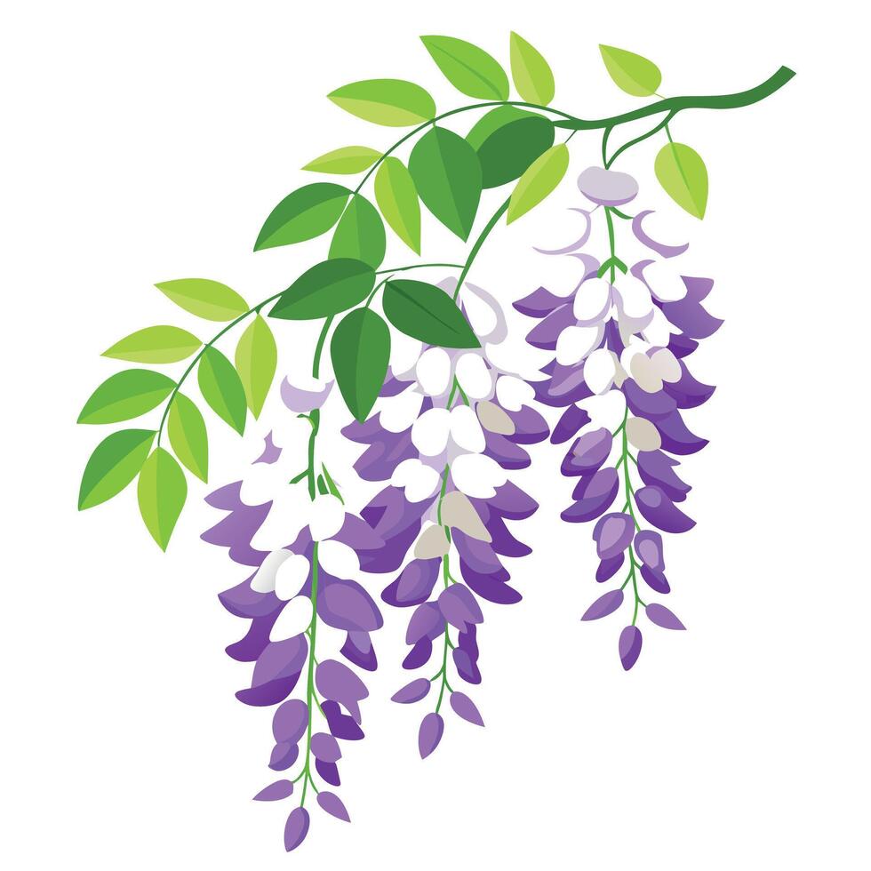 Intricate Details of a Wisteria Flower in a Natural Setting with Wildflowers and Butterflies vector