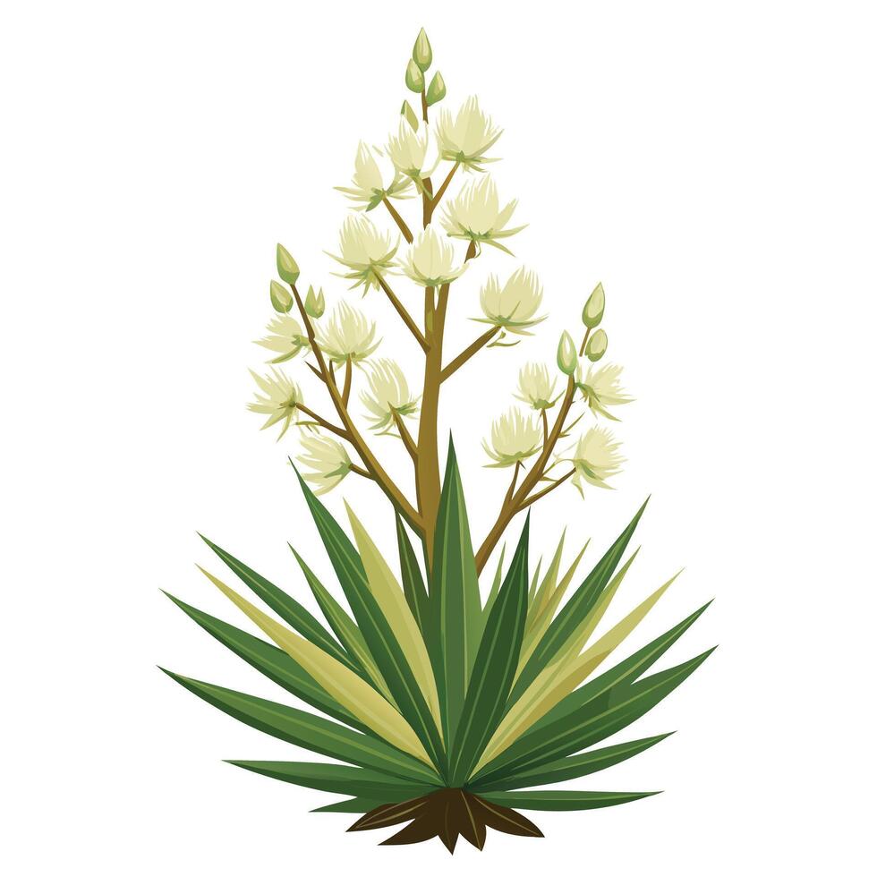 Botanical Depiction of a Yucca Plant in Full Bloom with Green Leaves and Stems vector