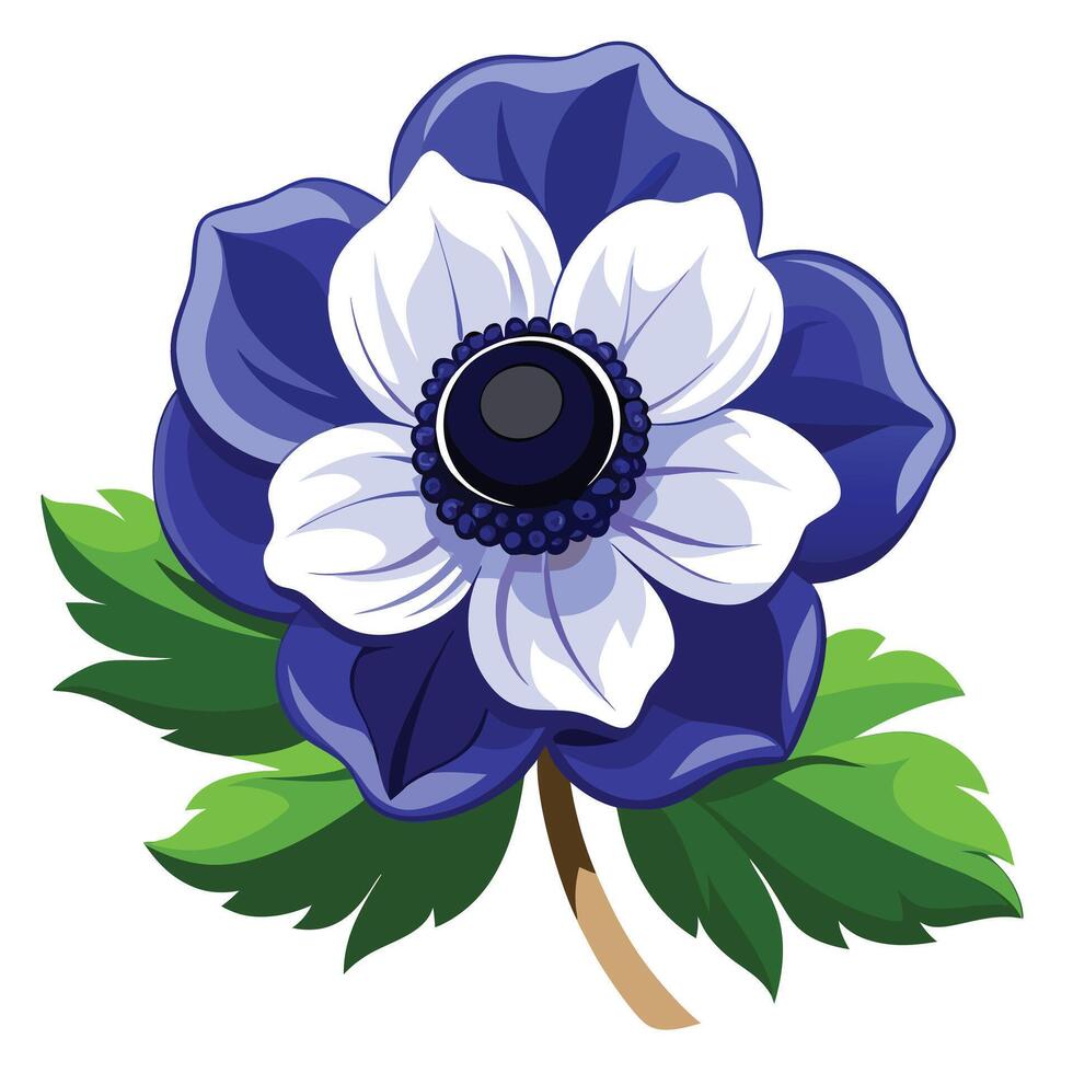 Detailed Illustration of an Anemone Flower Plant with White Petals and Long Stems vector