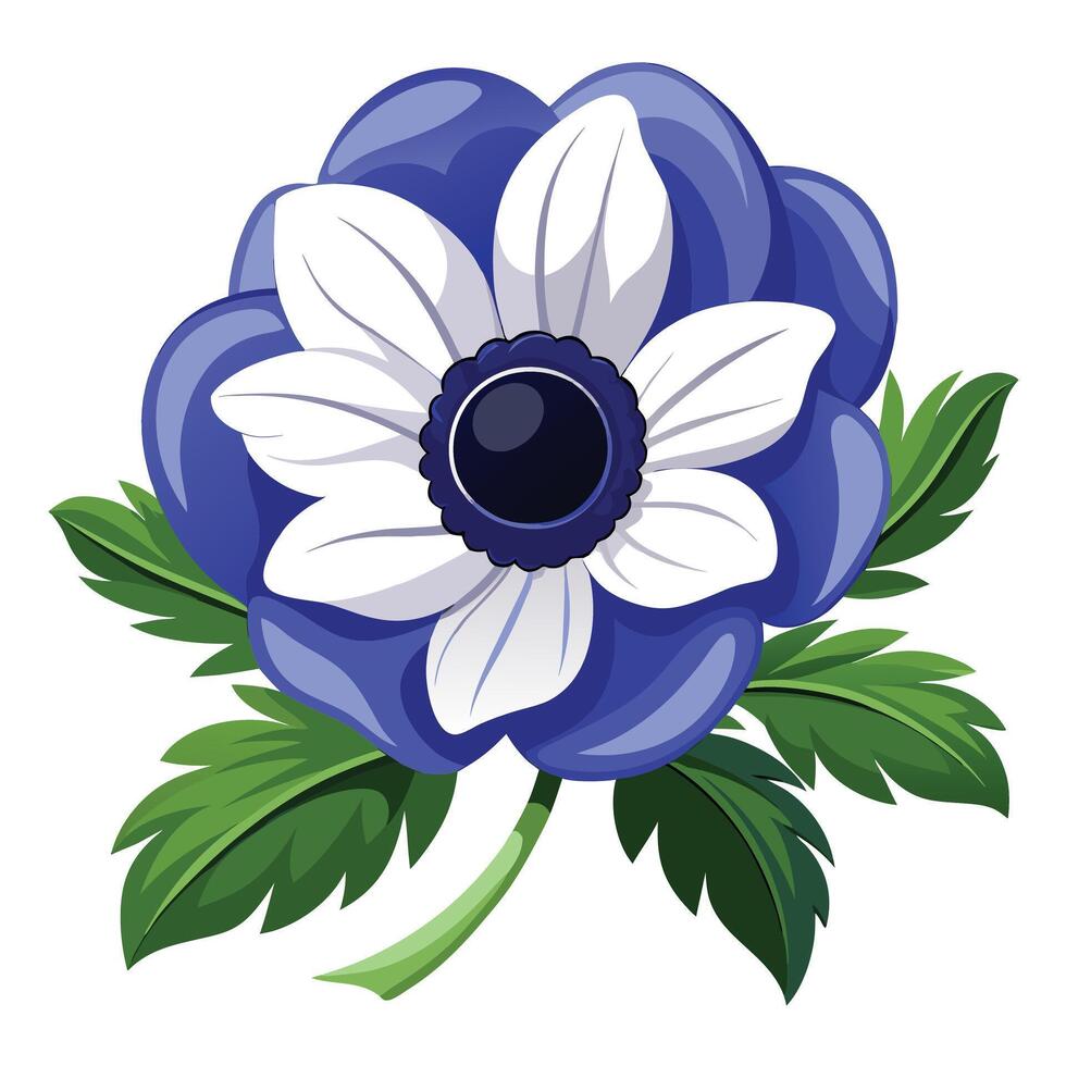 Anemone Flower Plant with Purple Flowers and Green Leaves in a Garden Setting vector
