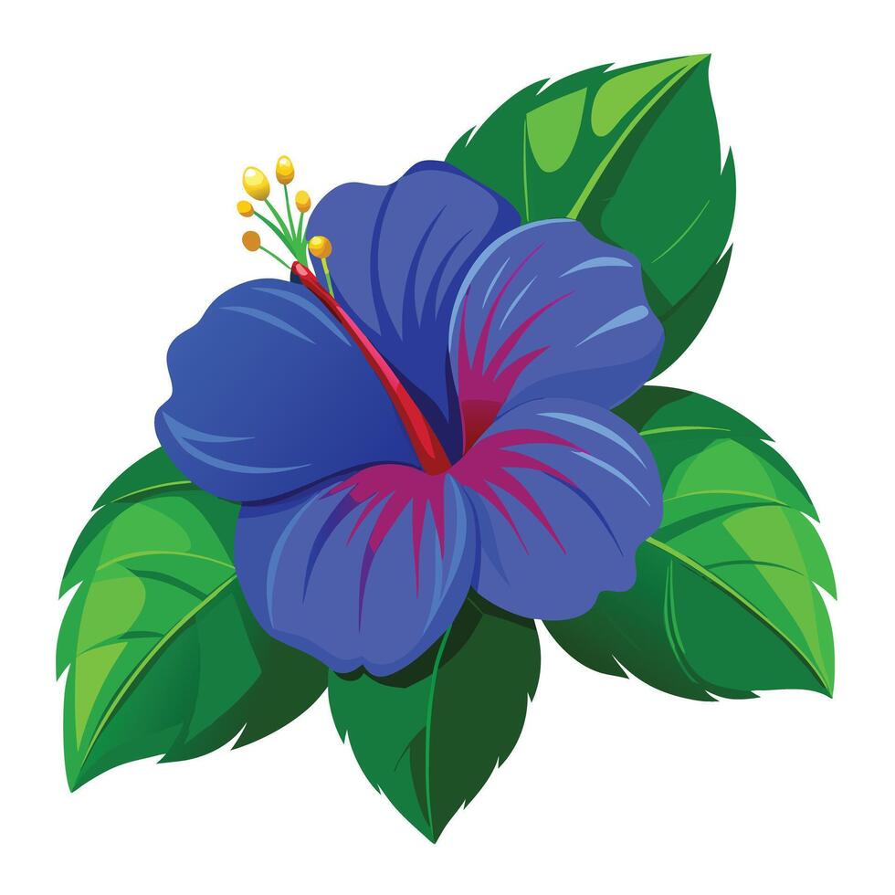 Detailed Illustration of a Blue Hibiscus Flower with White Petals and Long Stems vector