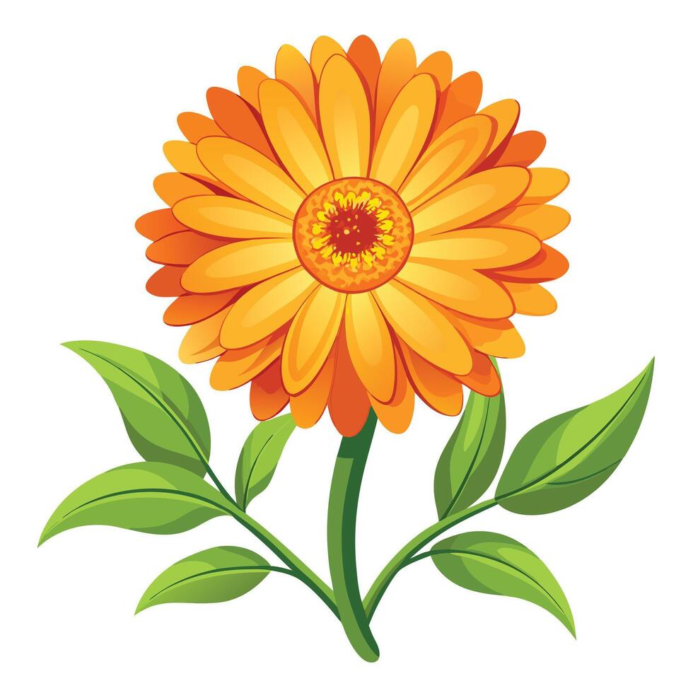 Calendula Flower with Purple Petals and Green Leaves in a Garden Setting vector