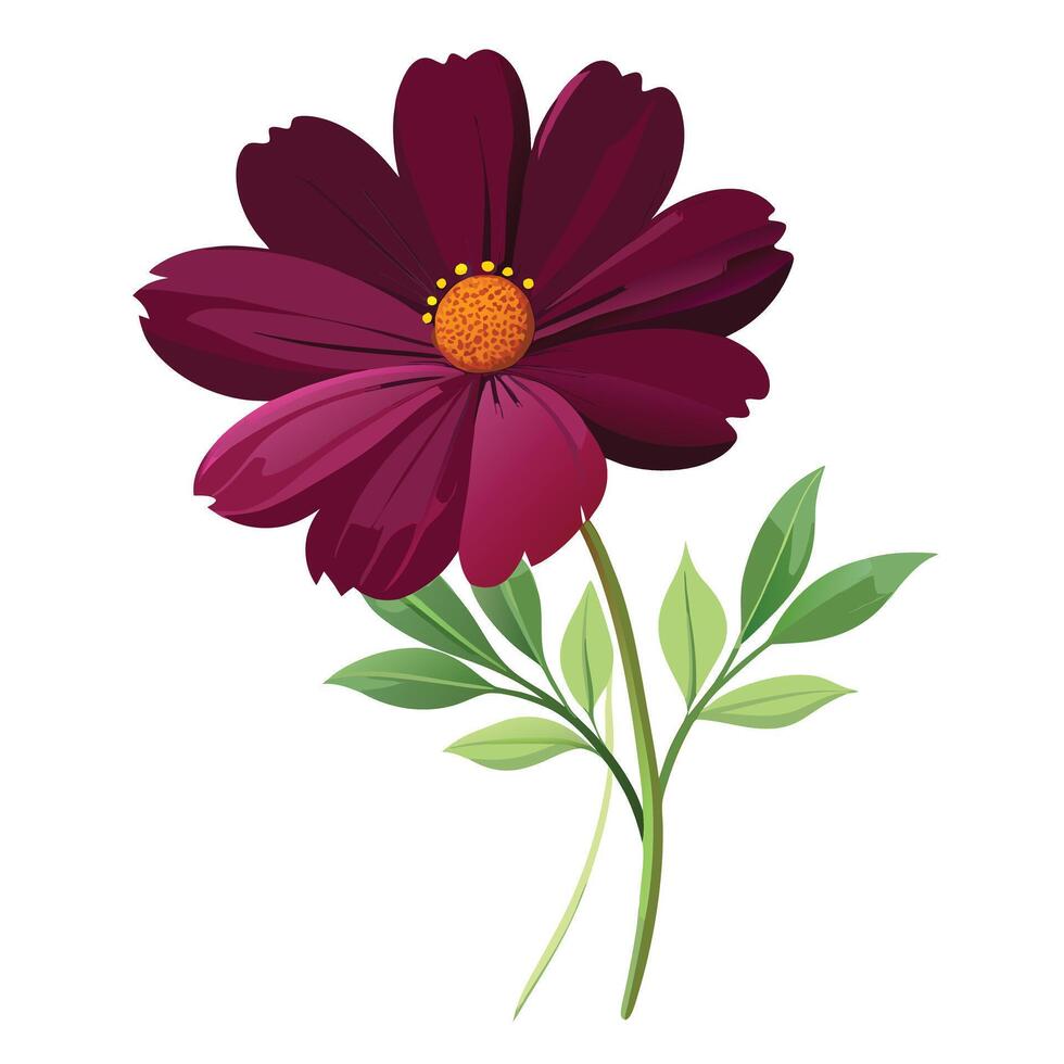 Beautiful Chocolate Cosmos with Dark Red Flowers and Green Leaves vector