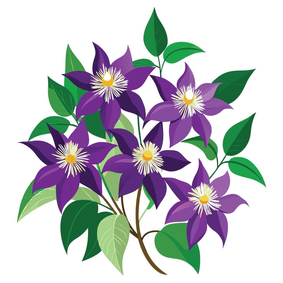 Clematis Plant with Pink Flowers and Green Leaves in a Garden Setting vector
