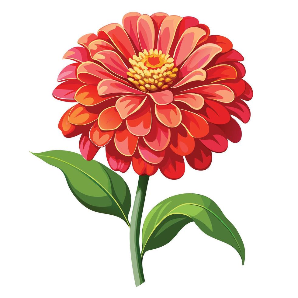 Detailed Illustration of a Colorful Zinnia Plant with White Petals and Long Stems vector