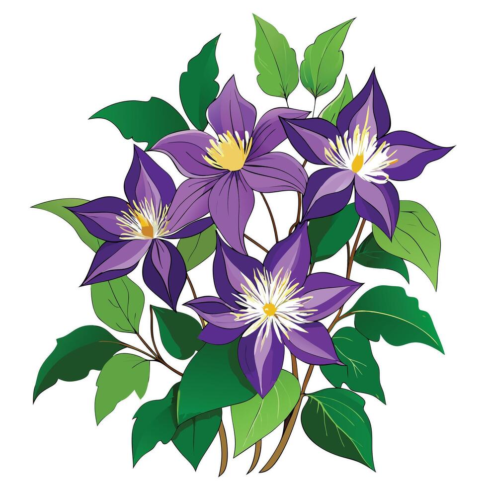 Detailed Illustration of a Clematis Plant with White Petals and Long Stems vector